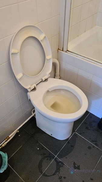  verstopping toilet Delfgauw